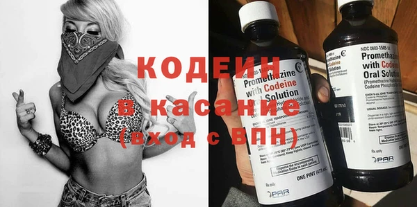 индика Калининец