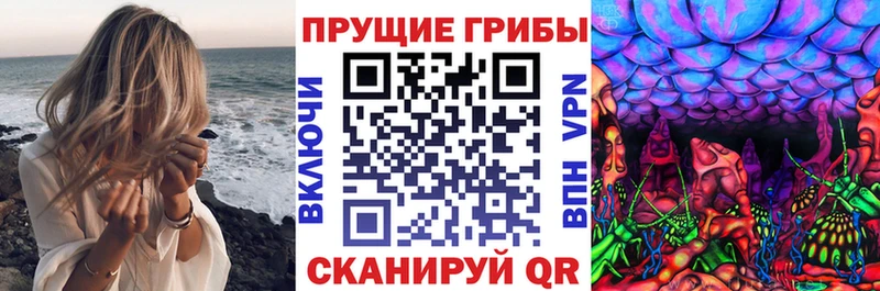 Псилоцибиновые грибы Psilocybe  Микунь 